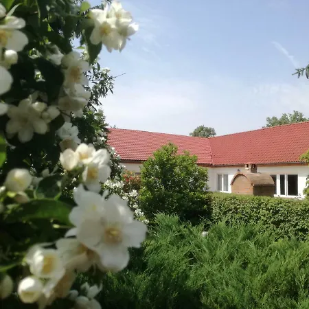 Ferienwohnung Chata Pod Roza Ledzin Exterior foto