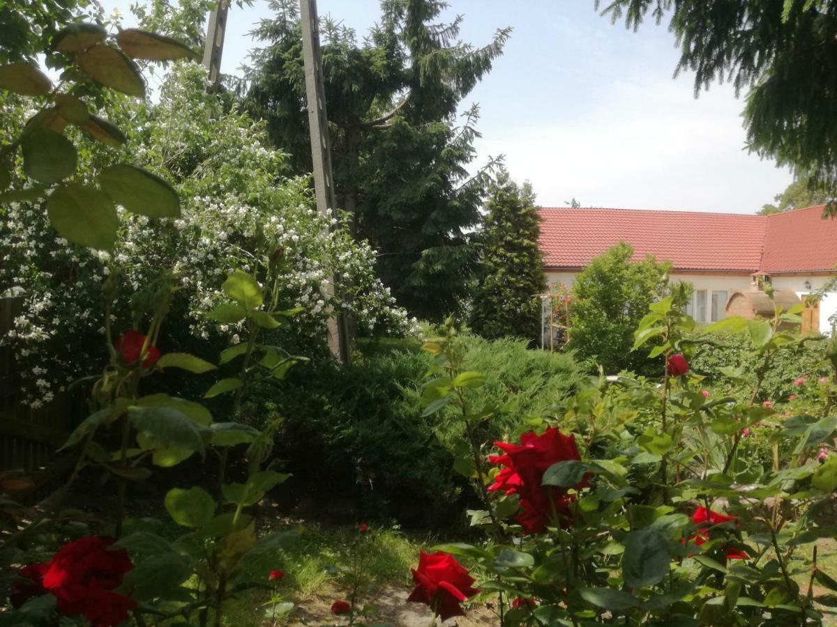 Chata Pod Roza Privatunterkunft *